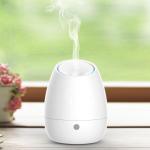 Home Appliances White 100ml Cool Mist Ultrasonic Humidifier
