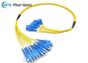 China 12F 24F Fiber Optic Patch Cord factory