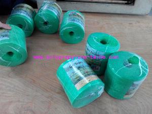 China 4500D-72000D Colored Polypropylene Twine factory