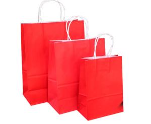 China Customized Color Shopping Paper Gift Bags With Handles 15X8X21 Cm factory