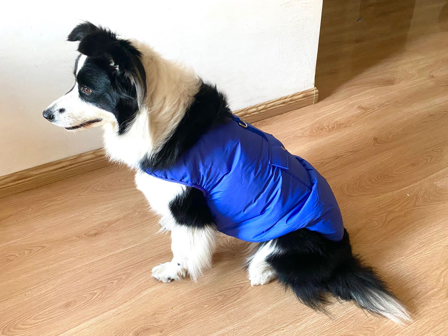 Dog Cotton Padded Jacket Winter Coat For Cat Cold Weather Coats Warm Vest For Pet Dog Clothes Outerwear
