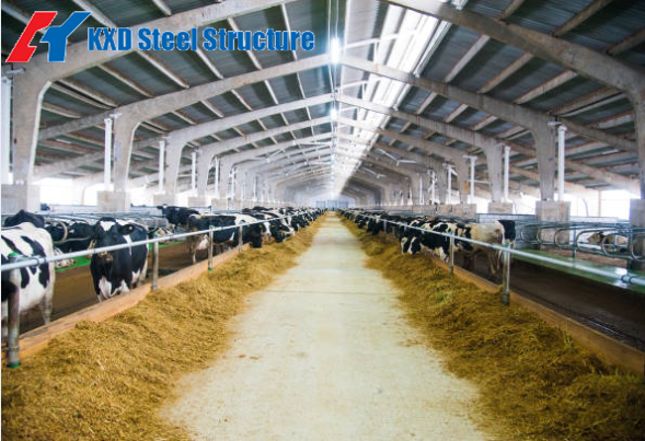 Prefabricated Steel Structure Warehouse with Portal Structure Frame PVDF/PTFE