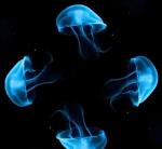 3D Transparent Holographic Projection Film 45° Angle High Light Transmittance
