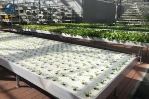 China Flood Drain Ebb Flow Greenhouse Seedling Trays Movable Seedbed Raised Bed Planter factory