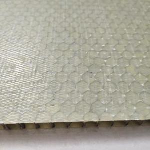 China Light Weight FRP Honeycomb Sandwich Panel 1000x2000mm factory