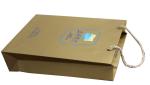 Hot Stamp 230gsm UV Logo Paper Carrier Bag Matt Lamination for advertising
