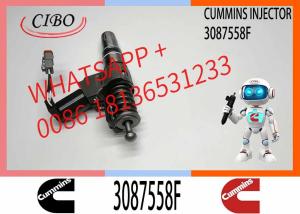 China Auto Parts Common Rail Diesel Fuel Injector 3407776 3411385 3087558F For Cummins QSN14 N14 factory