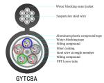 48 Core Outdoor Armored Fiber Optic Cable , GYTC8A Communication Fiber Optic