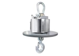 China Stainless Steel 30T Wireless Digital OCS Crane Scale factory