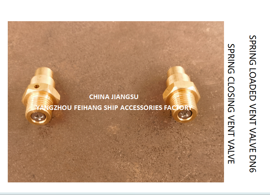 DN6 Spring Closing Vent Valve with Thread M13 and CB/T3778-1999 Standard for Marine Applications