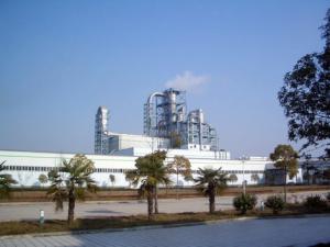 China 200000CBM MDF (Medium Density Fiberboard) Making Machine Production Line factory
