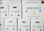 30lbs Fresh Ginger PP Fluted Corrugated Plastic Box
