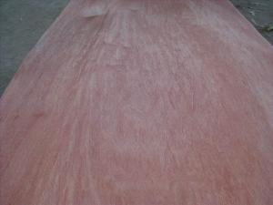 China Rotary Cut/Peeled Bintangor Wood Veneer Sheet factory