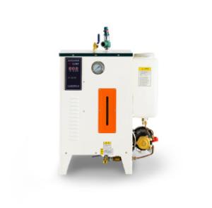 China Professional Industrial Steam Generator Food / Washing Ironing Industry Use factory