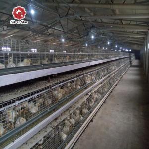 China Silver Star Breeding Baby Chick Cage H Type Customized Chicken Coop factory