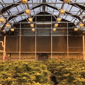 China Single Span Tunnel Greenhouse Blackout System Hydroponic System Extreme Light Deprivation Greenhouse Suppliers factory