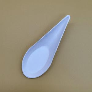 China Western Restaurant Seasoning Plate Hot Pot Buffet Snack Plate Paper Pulp Spoon Of Caviar factory