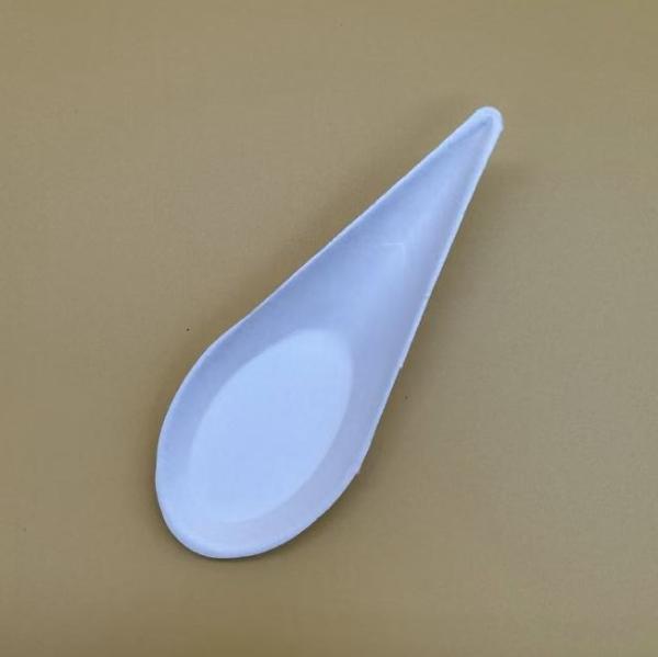 Western Restaurant Seasoning Plate Hot Pot Buffet Snack Plate Paper Pulp Spoon