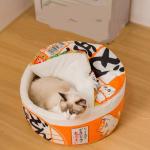 Instant Noodle Bucket Dog House Small Cup Noodle Cat Bed Pet House Winter Warm