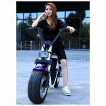 Off Road 2 Wheel Electric Scooter , Electric Fat Wheel Scooter For Adult , Eco