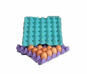 Egg Tray Production Line, Pulp Molding Machine