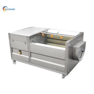 China Electric Carrot Peeler and Potato Washing Machine for Large-Scale Vegetable Production factory