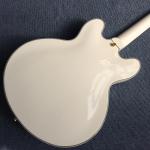 Hollow body jazz electric guitar, Double F holes,Ebony Fingerboard,Tremolo