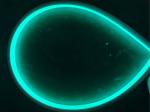 50 Meters 12V 24V Maldives Green Silicone Neon LED Strip