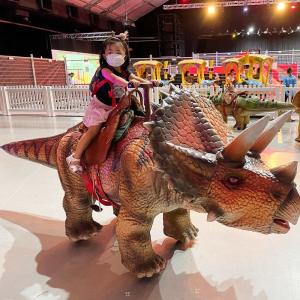 Electric Walking Dinosaur Ride Animatronic Triceratops Dinosaurs Ride for