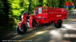 800W DAYANG Heavy Loading Truck Tricycle Three Wheel Cargo Motorized 201 250cc