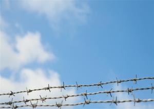 China Anti - Climb Wall Spike Security Barbed Wire , Iron Wire Razor Barbed Tape factory