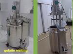Stainless Steel Softgel Capsule Gelatin Melting Tank Auto Vacuum Pump System