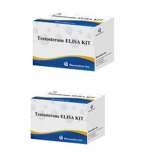China Male Sex Hormone Testosterone Hormone Quantitative Elisa Test Kit For Diagnose factory