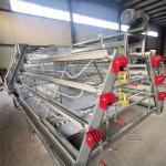 4 tier Chicken Poultry Breeding Cage Material Broiler Cages For Broiler Chicken