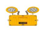 Industrial 12v Rechargeable Explosion Proof Emergency Light With 2 Heads