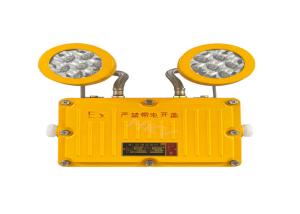 China ATEX Approved 6000K Explosion Proof Exit Light Rechargeable Bettery factory