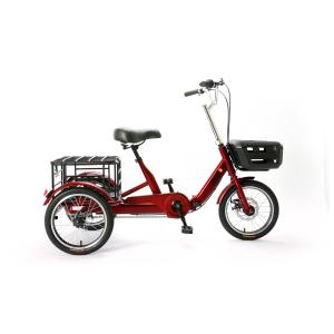 China 16 Inch Mini Cargo 3 Wheel Tricycle Beautiful Design Carbon Steel factory