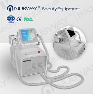 China Portable Female Cryolipolysis Slimming Machine 50Hz / 60Hz For Fat Freezing factory