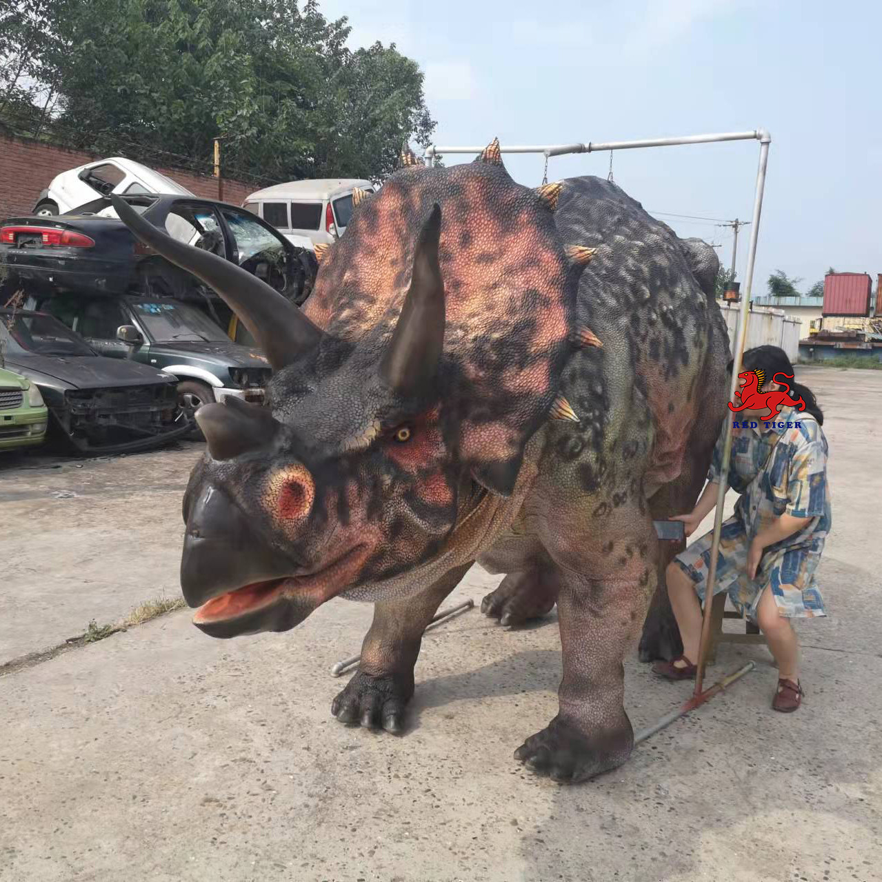Custom Realistic Adult Triceratops Dinosaur Costume For Two Performers