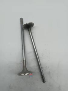 China Diesel Engine Spare Parts For C15 C18 Exhaust Valve 153-7023 factory