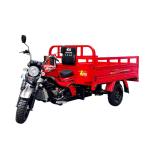 DAYANG 200cc Gas Tricycle with 5.0 Inch Wheels and Durable Lifan Engine in