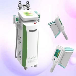 China best cryolipolysis weight loss machine factory