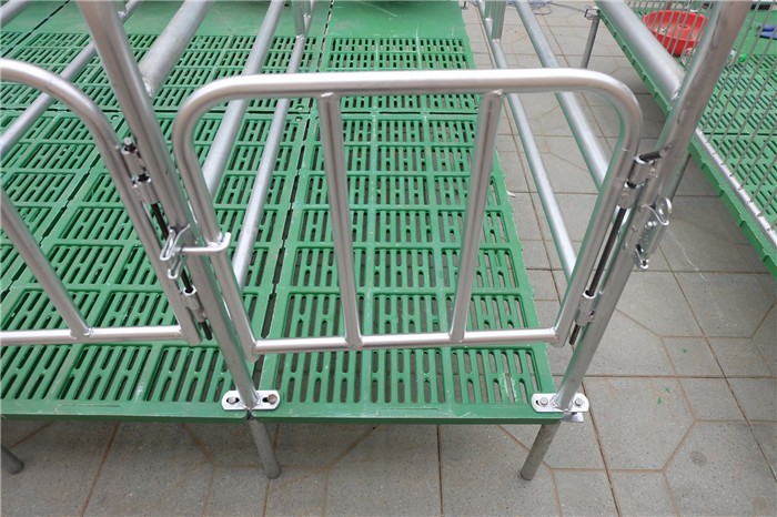 Farrowing Crate Steel Structure for Modern Farm Pig House Shed Hog Cote Winery Pigsty