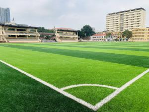 China Artificial Football Grass Synthetic Turf For Soccer Field Floor Artificial Grass factory