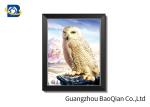 Wall Hanging Picture / Painting for Bedroom , 3d Picture Of Dolphin / Birds
