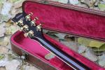 Custom double Tiger Flame Maple top supreme LP Electric Guitar golden hardware