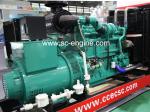 Cummins KTA19 300KW Gas Engine