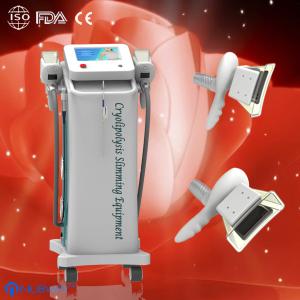 China Fat Freeze Cryolipolysis Slimming Machine With Touch Color Screen For Spa factory
