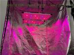 Aluminum 240Watt UV IR Red Switch LED Grow Light