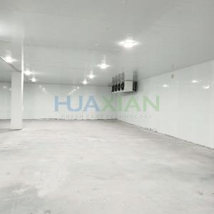 China Copeland Refrigeration Walk in Cold Room for Fish, Meat, Vegetable, Fruit Storage factory